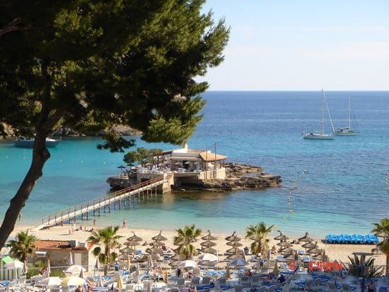 Flitterwochen auf Mallorca